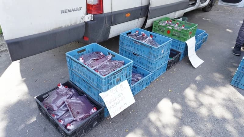 Dziękujemy za wsparcie dla sadownika Tomasza Wojtczaka. Przekazaliśmy zebrane pieniądze — zdjęcie 6 z 6