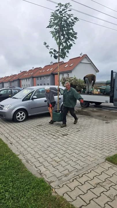 Wyjątkowa akcja na jarocińskim osiedlu. Dzieci zaopiekują się Antkiem, Mają i Zosią - a to nie wszystko [ZDJĘCIA] — zdjęcie 6 z 39