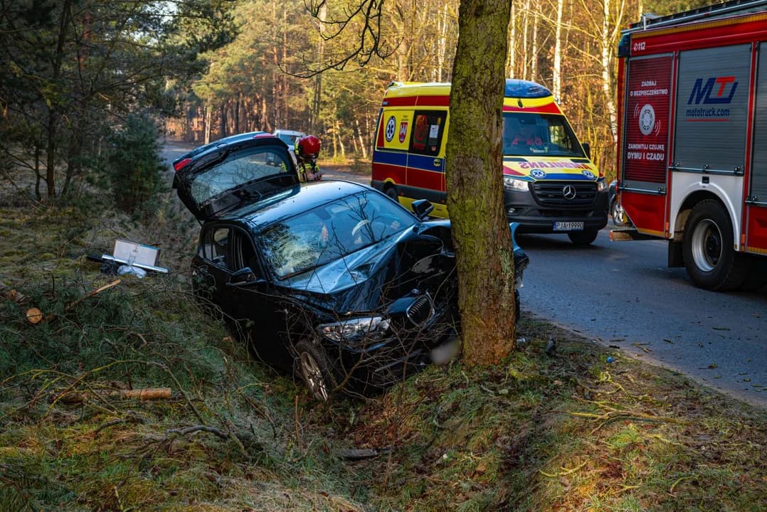BMW uderzyła w drzewo w Wilkowyi