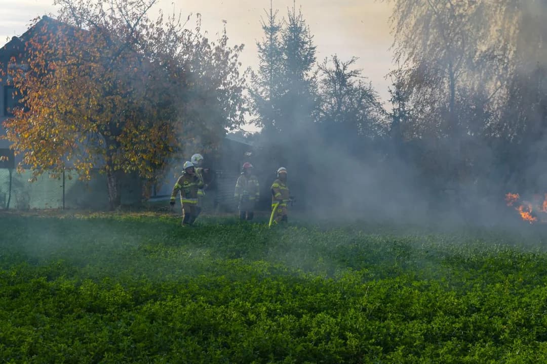 Jarociński sąd zdecydował o losie podpalacza — zdjęcie 6 z 19