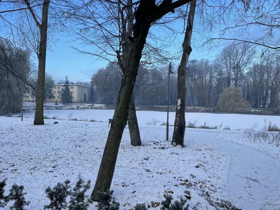 Myślała, że mężczyzna wpadł do stawu w Jarocinie. Zaalarmowała służby ratunkowe — zdjęcie 4 z 7