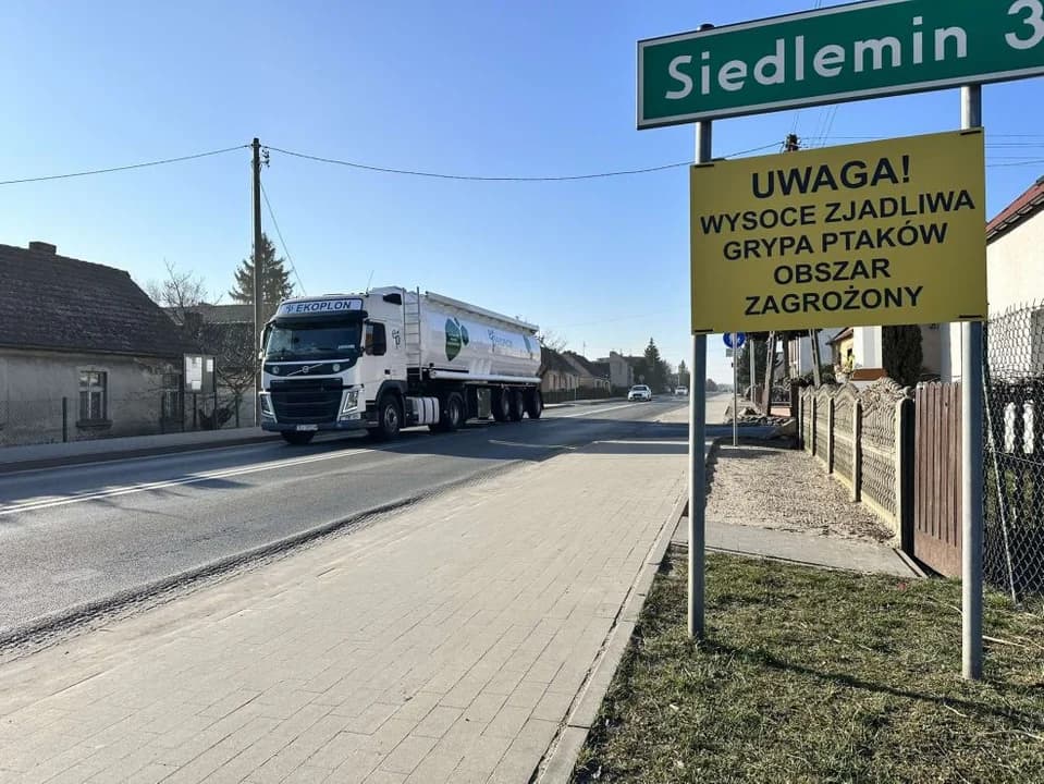 Podejrzenie ptasiej grypy w gminie Jarocin — zdjęcie 6 z 7