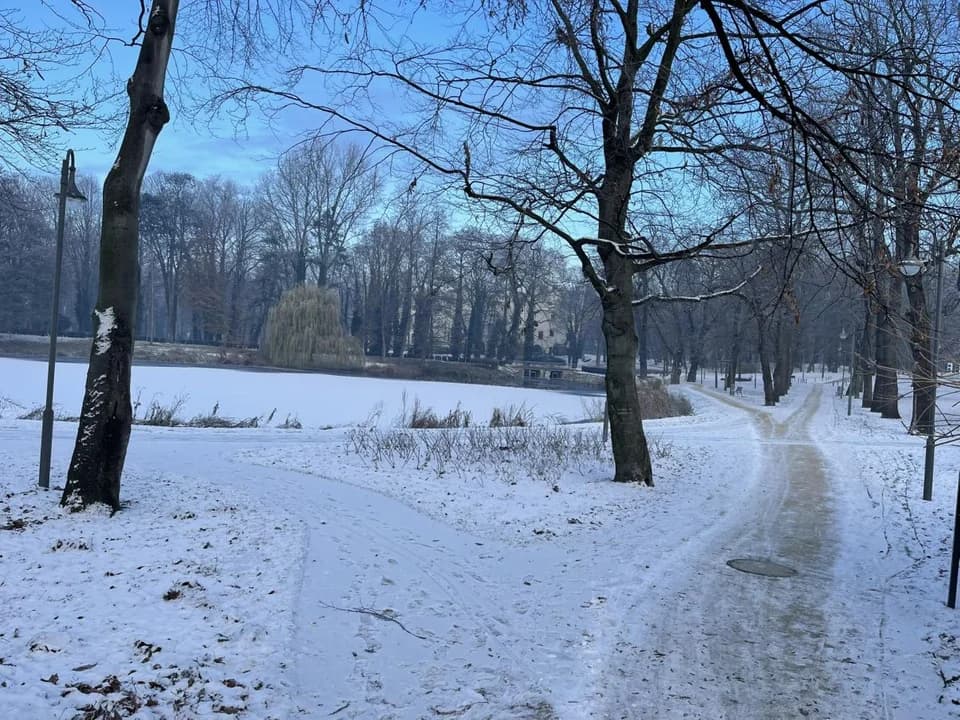 Myślała, że mężczyzna wpadł do stawu w Jarocinie. Zaalarmowała służby ratunkowe — zdjęcie 2 z 7
