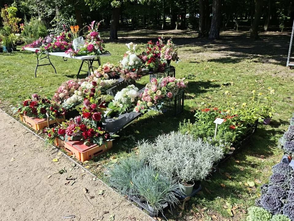 Z miłości do ogrodów. Tak wyglądał Festiwal Roślin Ogrodowych w Jarocinie [ZDJĘCIA] — zdjęcie 4 z 63