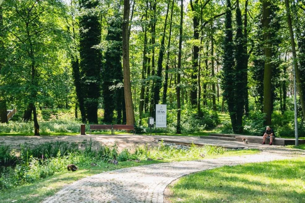 Lasek Szubianki w Jarocinie wyrózniony w konkursie Towarzystwa Urbanistów Polskich — zdjęcie 3 z 26