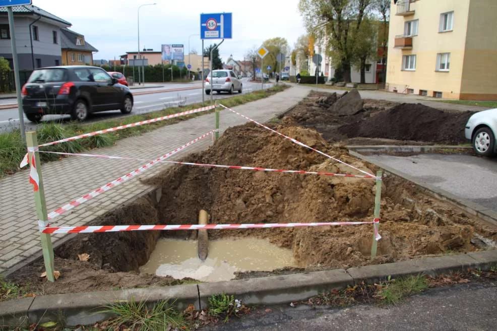 Przy ul. św. Ducha w Jarocinie posadzą drzewa, krzewy i kwiaty. Teren jest już przygotowywany [ZDJĘCIA]