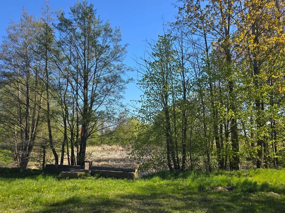 To dobre informacje dla mieszkańców Parzewa. Miejscowy staw przez lata był wizytówką wioski, aż trafił w ręce prywatne i stracił swój blask. Właśnie powrócił do zasobów majątku gminy. Ma zostać zrewitalizowany.