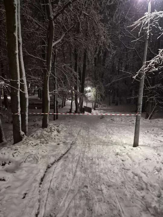 Strażacy od kilkunastu godzin usuwają skutki śnieżycy. Ile razy i gdzie interweniowali? [ZDJĘCIA, SONDA] — zdjęcie 6 z 6
