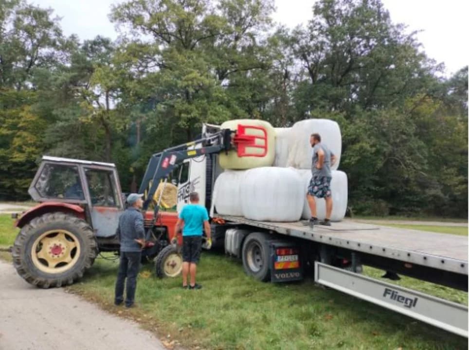 Rolnicy uczestniczyli w załadunku płodów rolnych — zdjęcie 2 z 9
