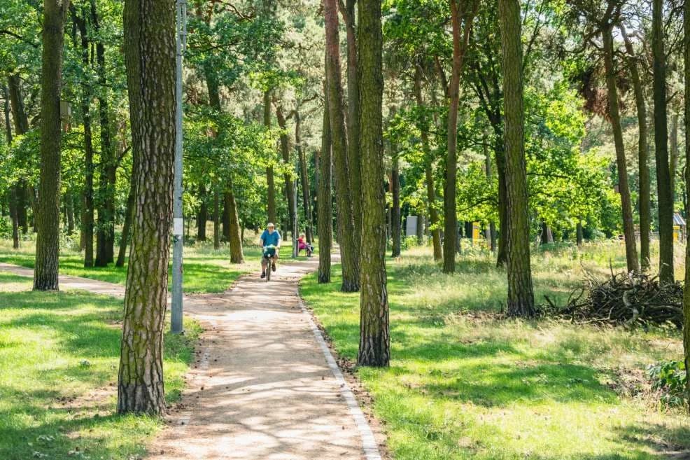 Lasek Szubianki w Jarocinie wyrózniony w konkursie Towarzystwa Urbanistów Polskich — zdjęcie 6 z 26