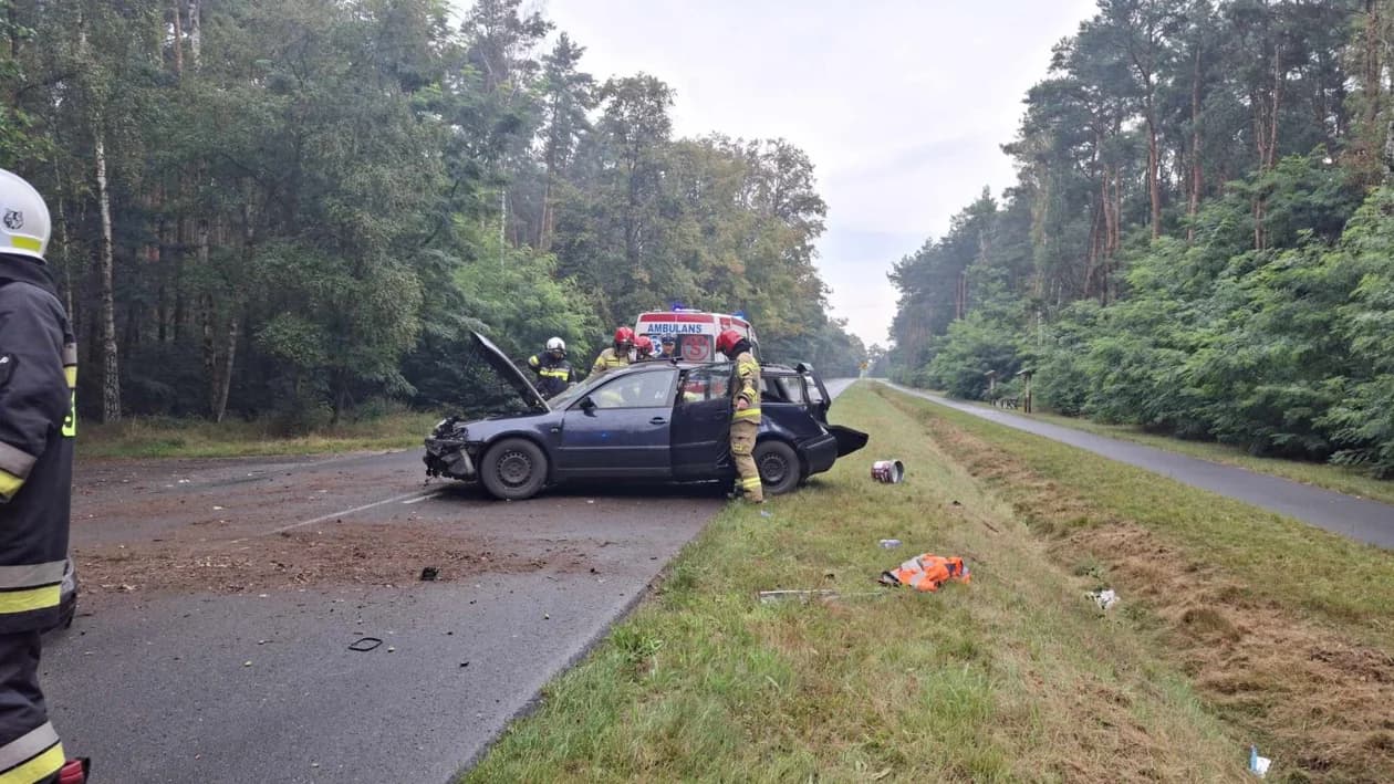 Wypadek na drodze Wilkowyja - Żerków. Auto osobowe uderzyło w drzewo — zdjęcie 2 z 5