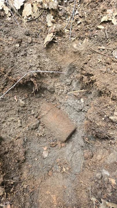 Groźne znalezisko w lesie. Poszukiwacze trafili na niewypały z II wojny światowej — zdjęcie 4 z 7