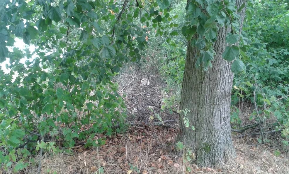 Tak wyglądał park przed porządkowniem — zdjęcie 5 z 10