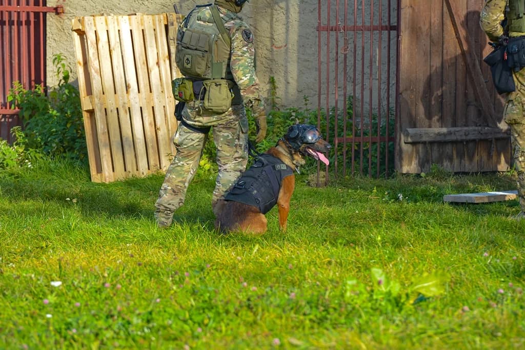 Katastrofa samolotu, uzbrojeni przestępcy i działania antyterrorystów - duże ćwiczenia policji i służb ratowniczych [ZDJĘCIA I FILM]