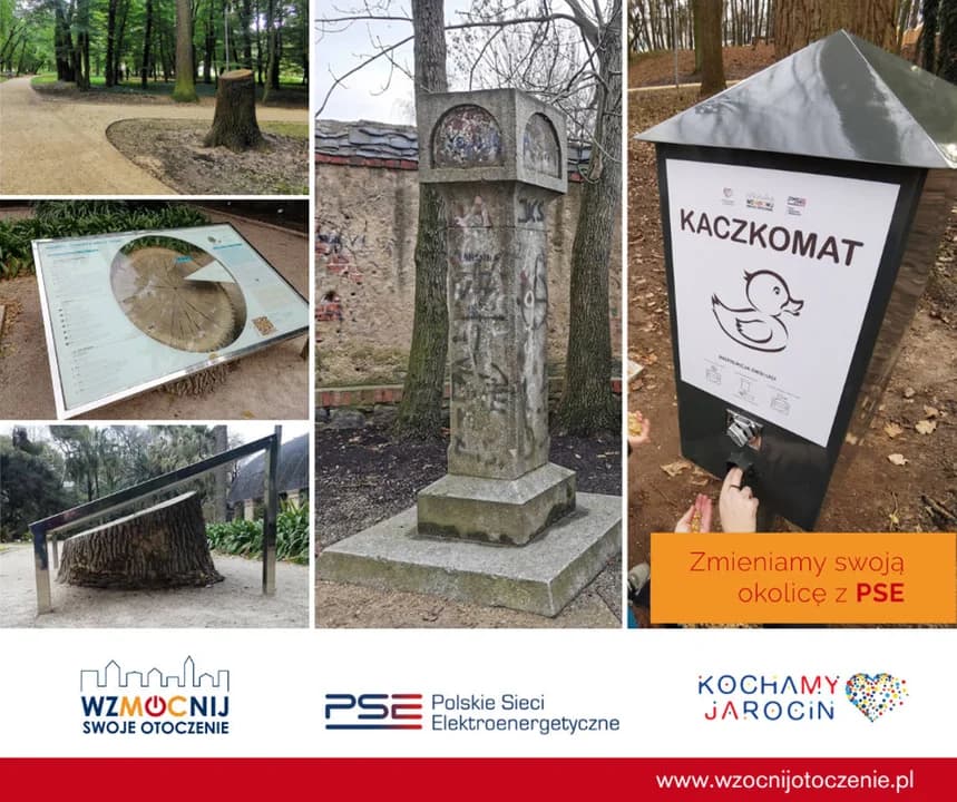 Międzynarodowy Dzień Ptaków w Jarocinie. Przyjdź z dziećmi w niedzielę na spacer po parku — zdjęcie 3 z 3