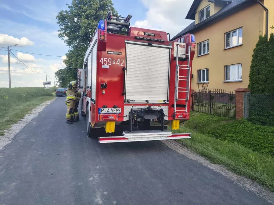 Pijany kierowca zakończył jazdę w rowie. Co miał jeszcze na sumieniu? — zdjęcie 3 z 3