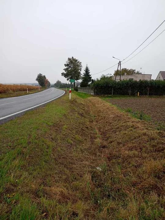 Zarządca DK12 wybuduje chodnik przy drodze Łobez - Jaraczewo? — zdjęcie 4 z 4
