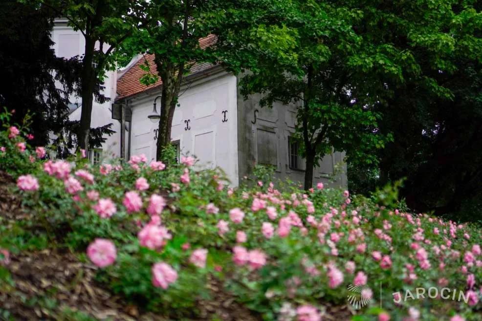 Nagroda Towarzystwa Urbanistów Polskich dla gminy Jarocin — zdjęcie 5 z 24