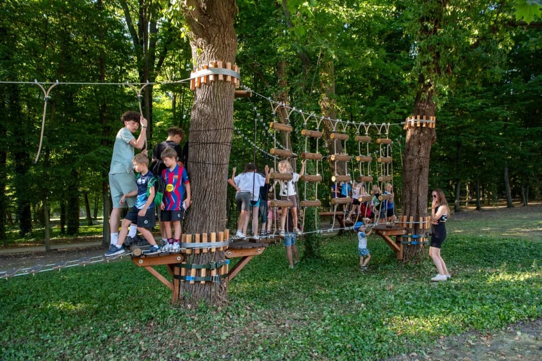 Nowa atrakcja w jarocińskim parku już gotowa. Na odważnych czeka park linowy z przeszkodami