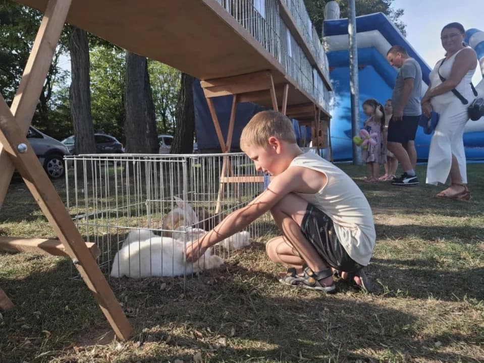 Dożynki w Golinie 2025 — zdjęcie 4 z 65