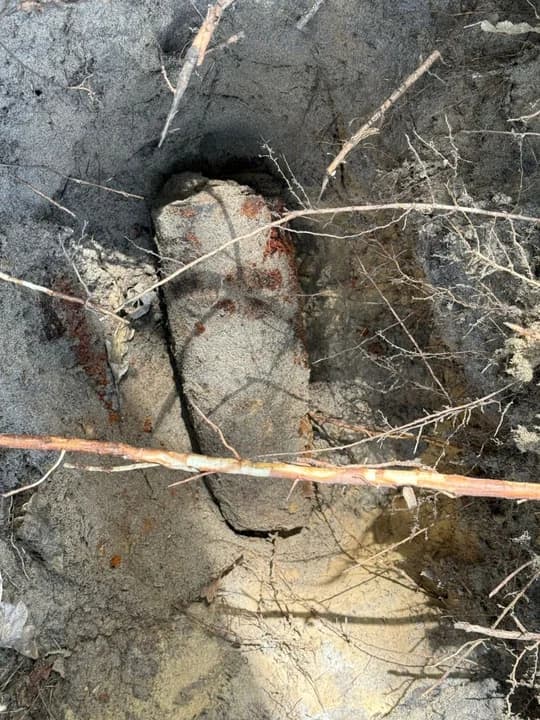 Groźne znalezisko w lesie. Poszukiwacze trafili na niewypały z II wojny światowej — zdjęcie 3 z 7