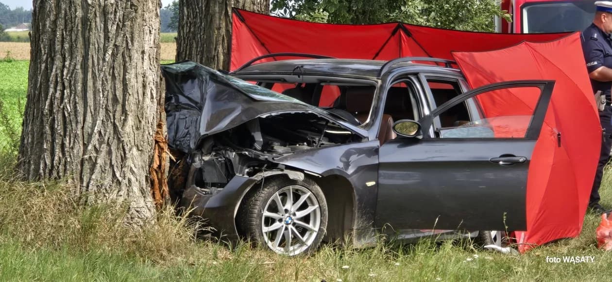 BMW uderzyło w drzewo w powiecie śremskim