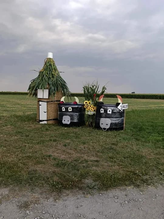 Dożynki wiejskie w Twardowie. Tak mieszkańcy rozgrzewali się przed powiatowym świętem plonów [ZDJĘCIA] — zdjęcie 3 z 67