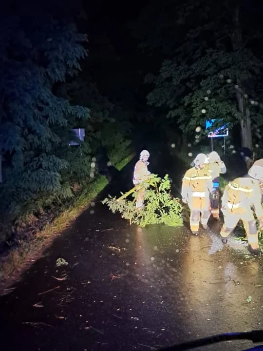 W Wielkopolsce strażacy interweniowałi 452 razy