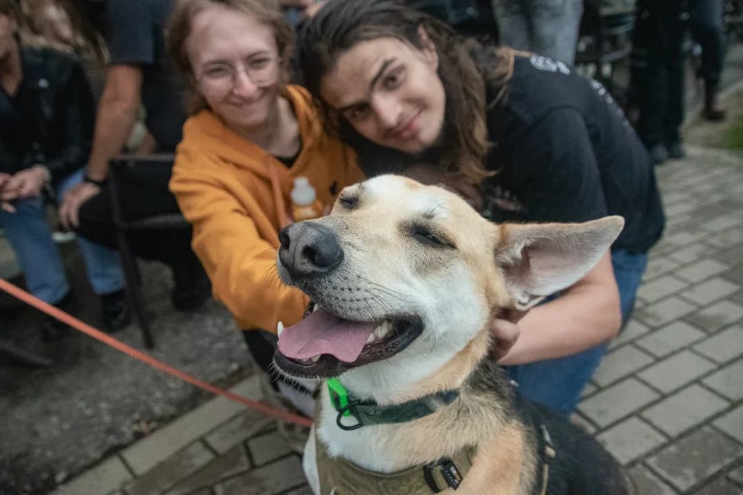 Udany koncert charytatywny w jarocińskim Spichlerzu. Grali dla zwierzaków ze schroniska