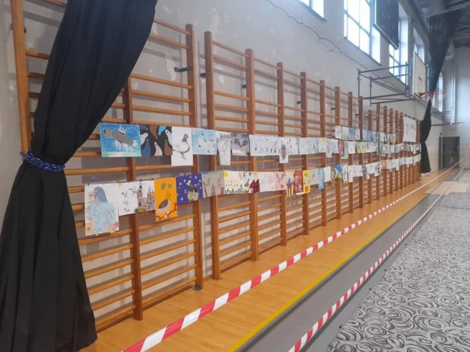 Około 200 gołębi pocztowych na wystawie w Jarocinie. Gdzie można je oglądać? [ZDJĘCIA] — zdjęcie 5 z 146