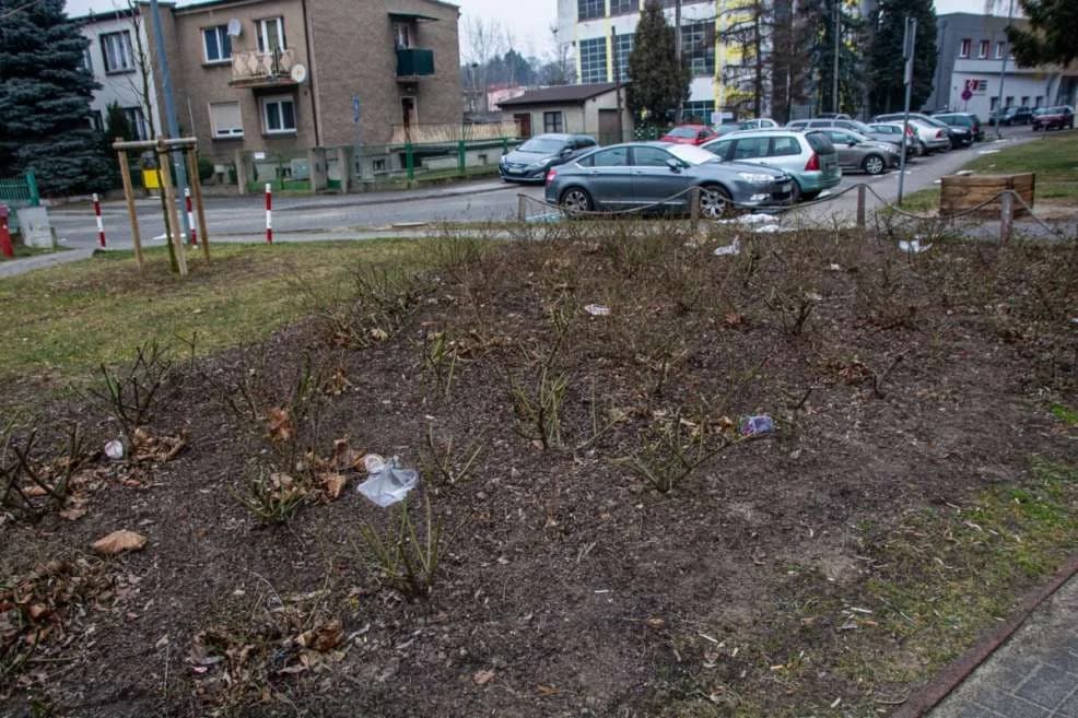 Utrzymanie porządku na terenie Jarocina — zdjęcie 6 z 22