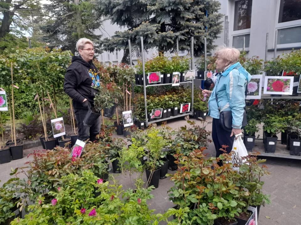 W Jarocińskim Ośrodku Kultury trwa Wiosenny Kiermasz Ogrodniczy [ZDJĘCIA]