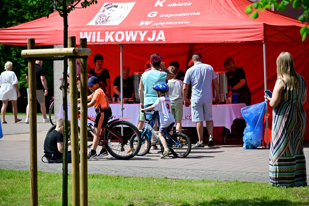 Pierwszy spacer po odnowionym Ogrodzie Plebańskim w Wilkowyi [ZDJĘCIA, WIDEO] — zdjęcie 6 z 58