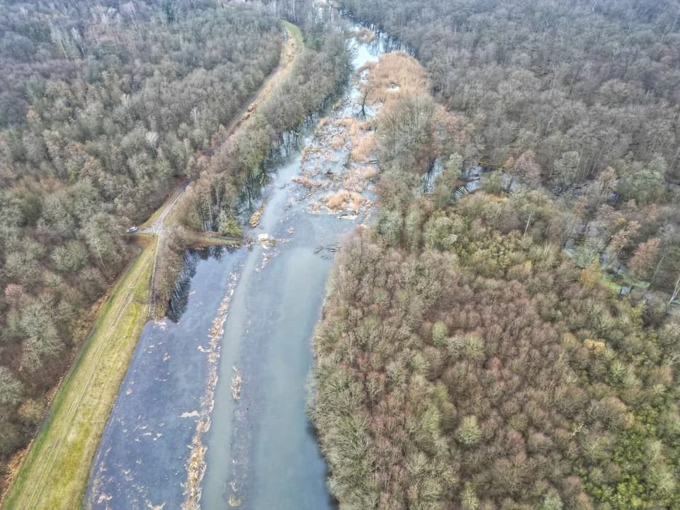 Leśników z Nadleśnictwa Jarocin cieszy to, że Lutynia się rozlewa — zdjęcie 6 z 6