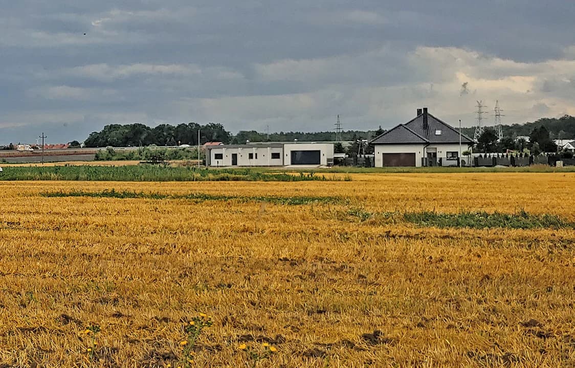 Przed sąd za hałas kombajnu albo ryczenie krowy? Sąsiedzkie zatargi coraz częstsze