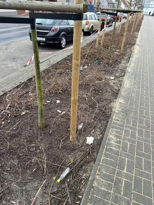 Utrzymanie porządku na terenie Jarocina — zdjęcie 4 z 22