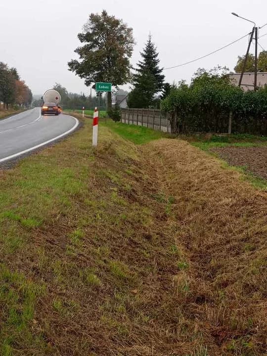 Zarządca DK12 wybuduje chodnik przy drodze Łobez - Jaraczewo? — zdjęcie 3 z 4