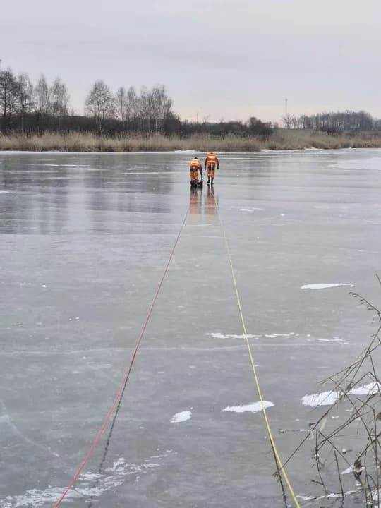 Zamarznięte łabędzie na zalewie w Roszkowie — zdjęcie 3 z 5