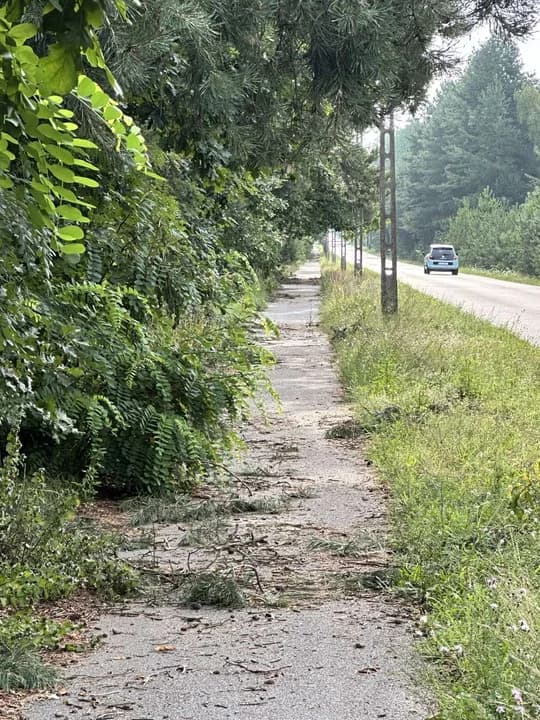 Właścicielem ścieżki jest samorząd powiatu jarocińskiego.