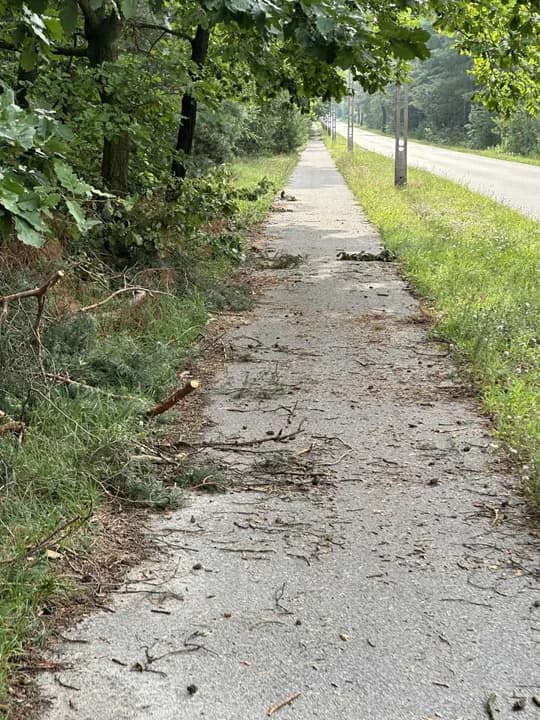 - Dokładnie chodzi o ścieżkę prowadząca z osiedla Zdrój do ulicy Gorzeńskiego. Ścieżka jest zaniedbana i zrobiła się bardzo wąska przez zwisające gałęzie drzew - nie idzie przejść, nie pochylając się - informuje Czytleniczka Gazety.