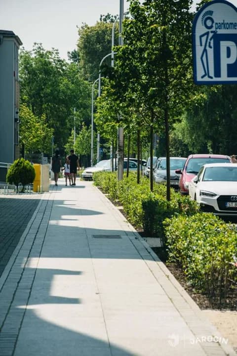 Przetarg na utrzymanie i pielęgnację zieleni w części śródmieścia Jarocina — zdjęcie 4 z 10