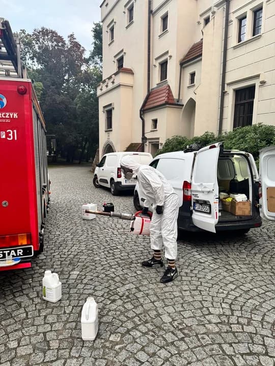Odkomarzanie przed festiwalem — zdjęcie 6 z 6