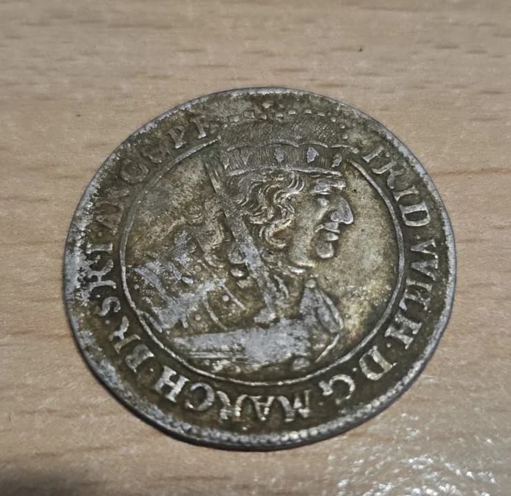 Złote i srebrne monet znalezione w lesie — zdjęcie 1 z 10