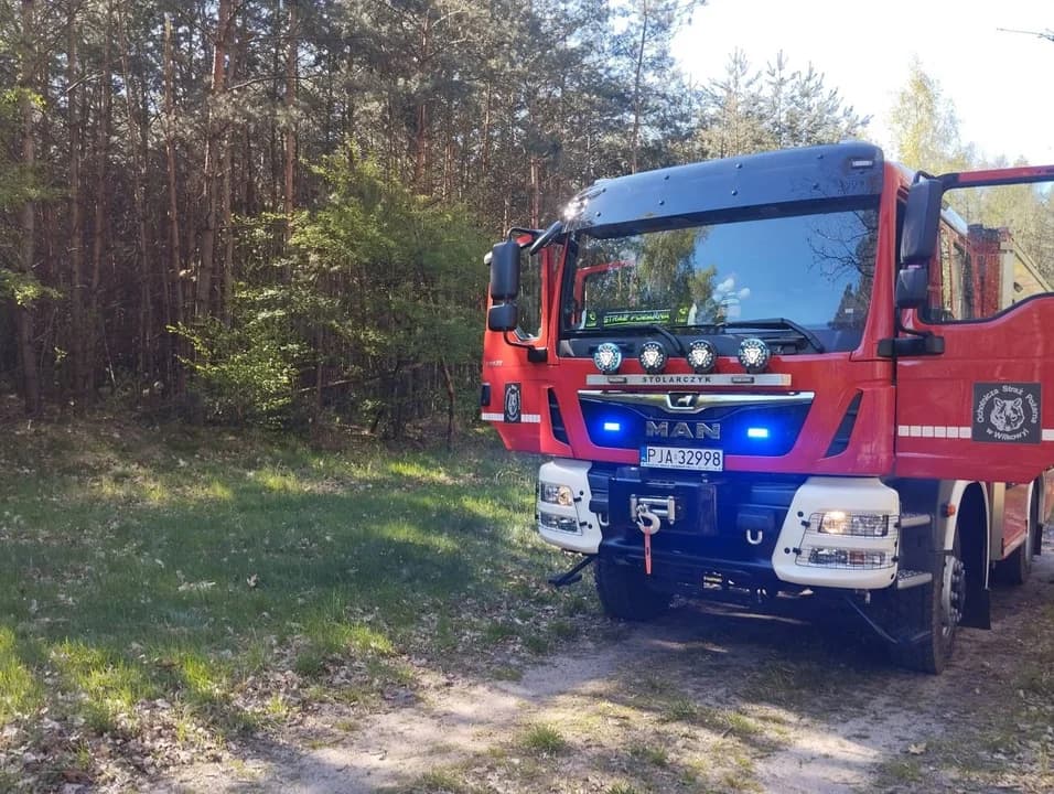 Pożar lasu pod Jarocinem