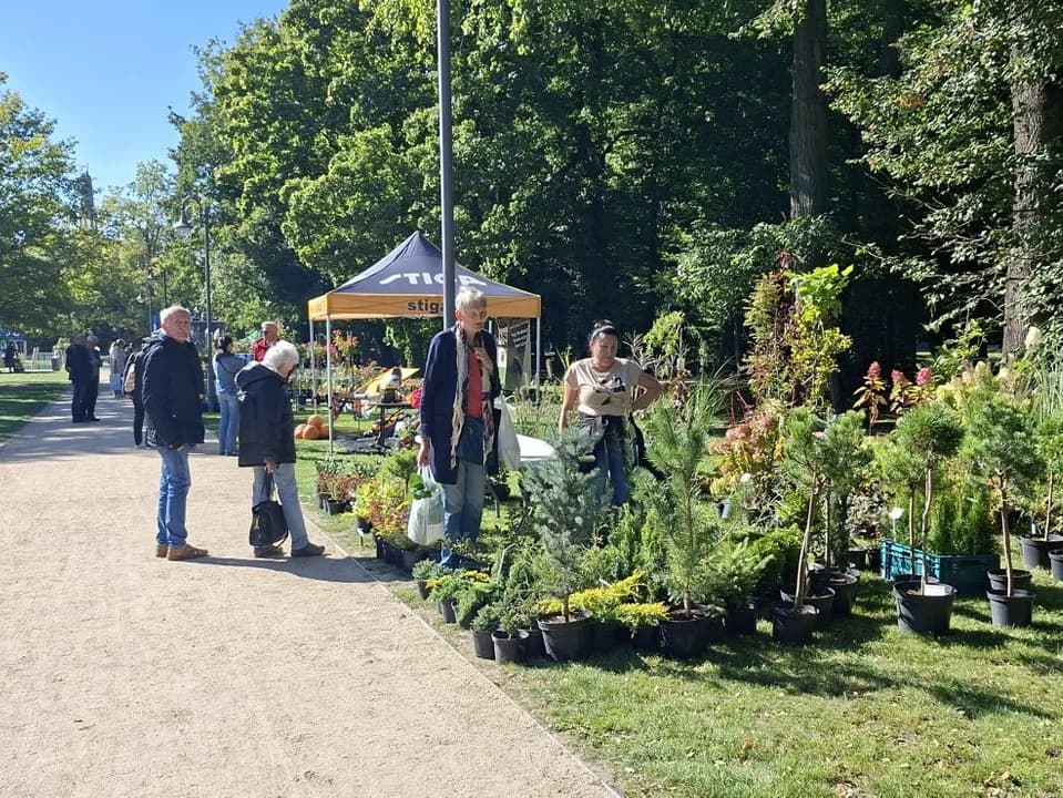 Z miłości do ogrodów. Tak wyglądał Festiwal Roślin Ogrodowych w Jarocinie [ZDJĘCIA] — zdjęcie 2 z 63