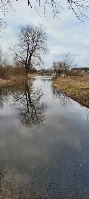 Okolice przeprawy promowej na Warcie w Pogorzelicy (gm. Żerków) — zdjęcie 5 z 18