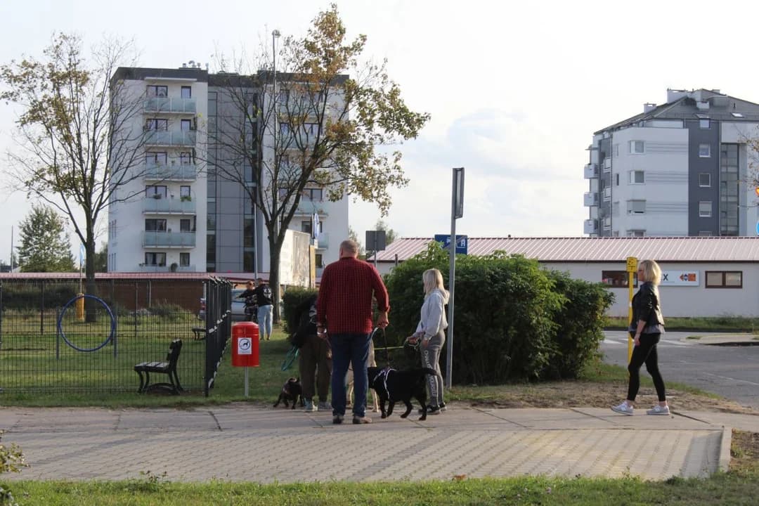 Można już korzystać z pierwszego w Jarocinie wybiegu dla psów [ZDJĘCIA] — zdjęcie 2 z 79