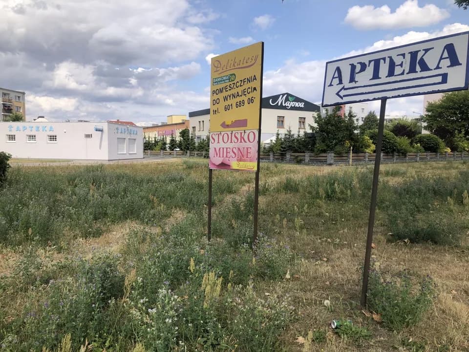W Jarocinie powstanie wybieg dla psów. Nawet dwa na jednym osiedlu. Zobacz szczegóły