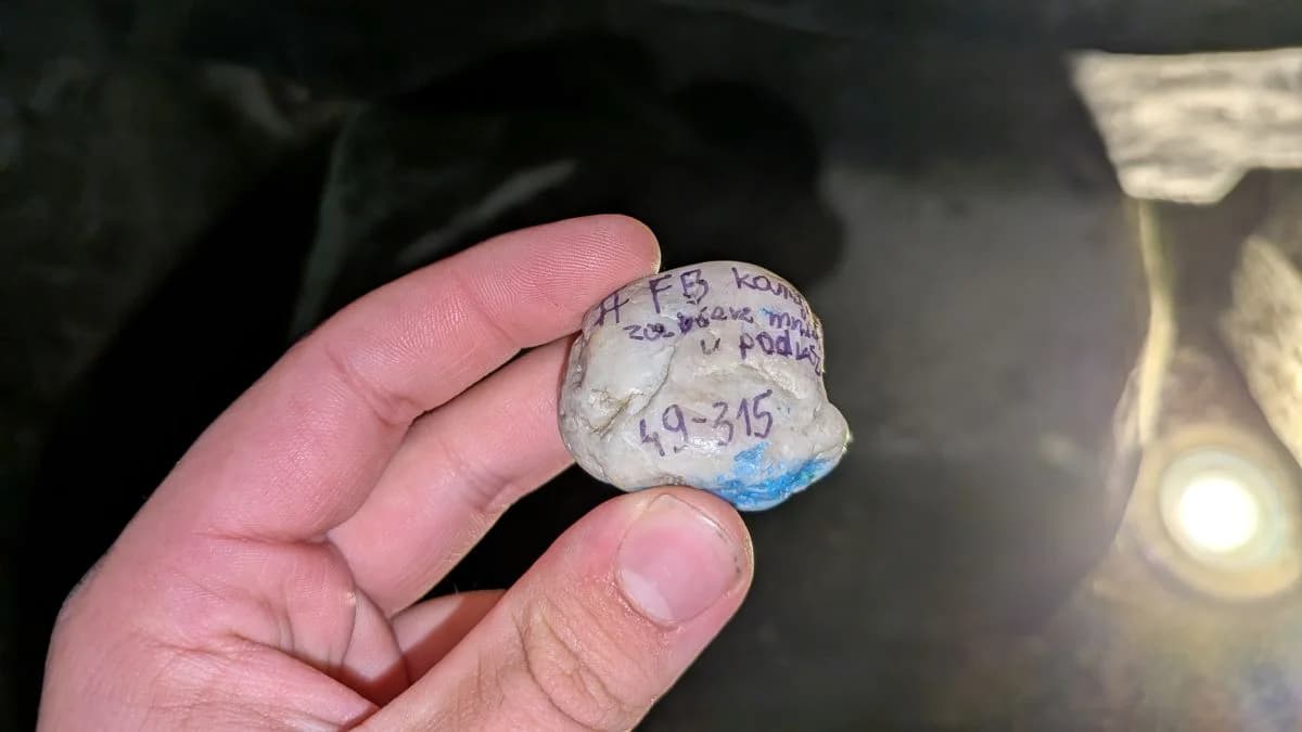 Znalazłem ciekawy kamyk pod glanem w Jarocinie
