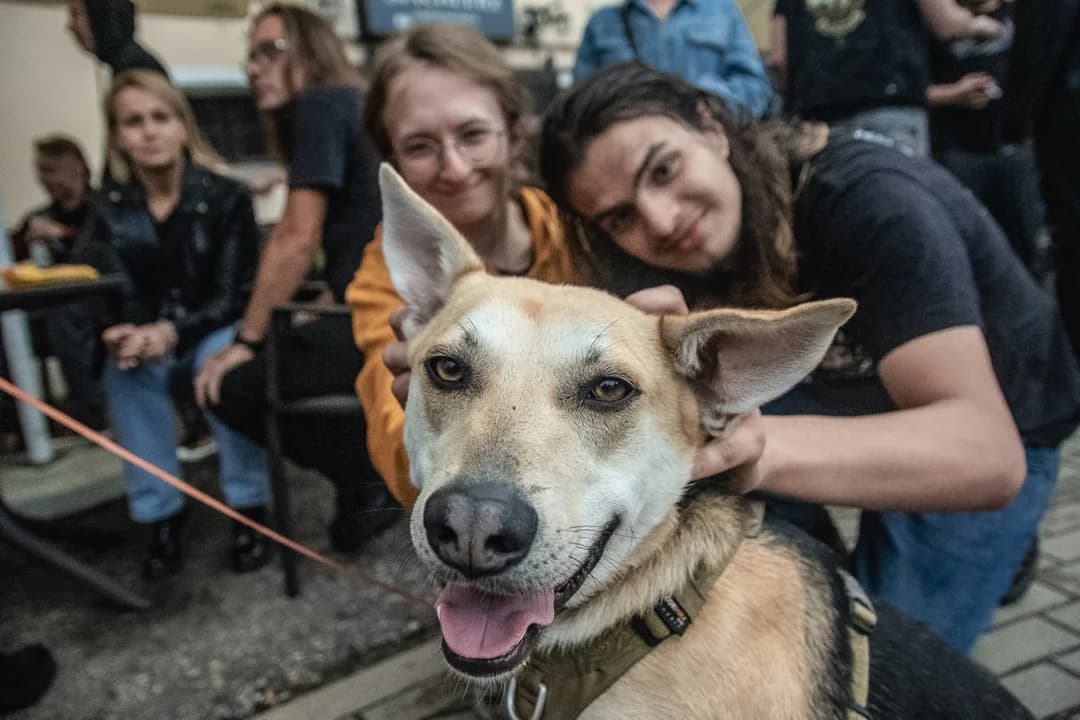 Udany koncert charytatywny w jarocińskim Spichlerzu. Grali dla zwierzaków ze schroniska